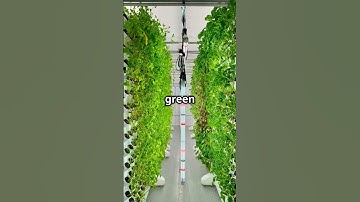 Mars Colonization Plans You Didn