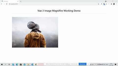 Vue 3 Image Magnifier Working Demo