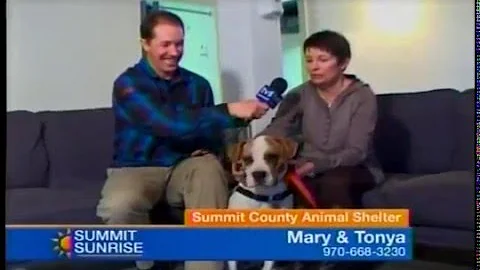 SS 3 31 16 Pet of the Week: Tonya