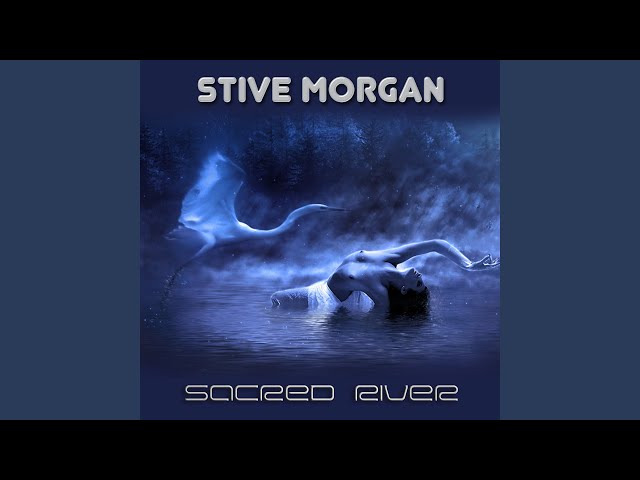 Stive Morgan - Silver Airplane