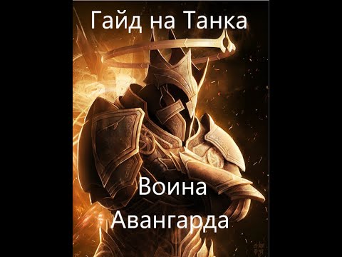 Гайд на Танка Воина Авангарда #Neverwinter online | m22