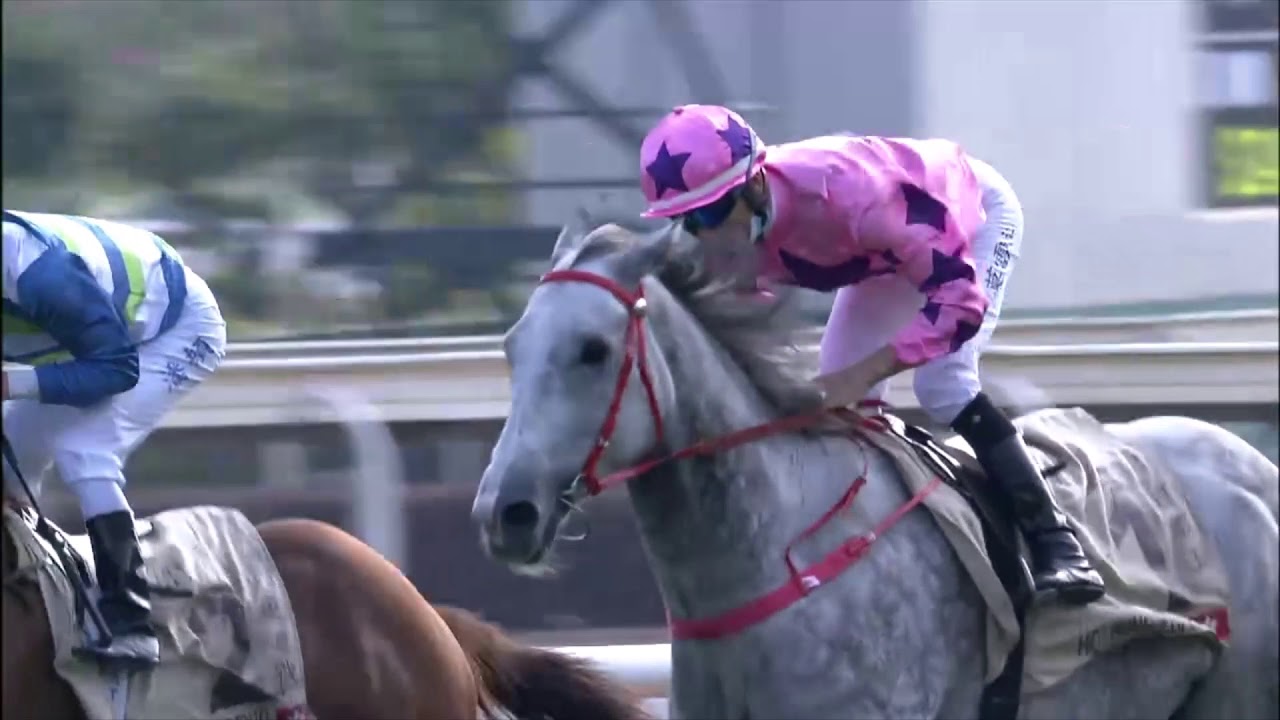 24 1 21 368 Hot King Prawn J Moreira G1 The Centenary Sprint Cup Youtube