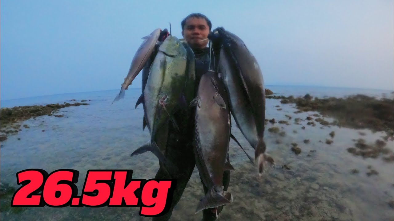 SPEARFISHING PHILIPPINES || MONSTER DOGTOOTH TUNA || UNICORN FISH ...