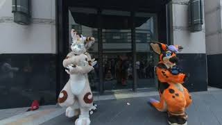 20190729-极兽聚后 秋葵Fursuit Dance Part 1 染上你的顏色