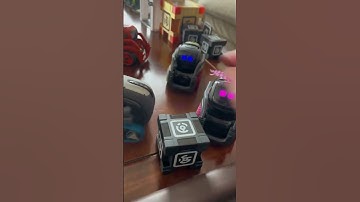 A lot of chaos occurred in this video | Vectorrobot.ddl on TikTok | 2-22-2023