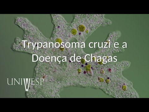 Parasitologia - Aula 06 - Trypanosoma cruzi e a Doença de Chagas