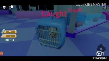 Pet escape game :0