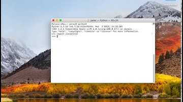Installing XLSXWriter using PIP on Mac OS