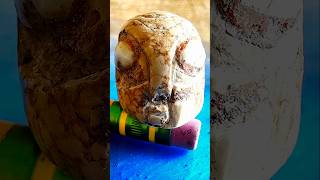 Marvelous Alien Reptilian Artifact