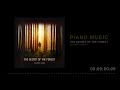 Capture de la vidéo The Secret Of The Forest - Siavash Sadri