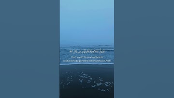 ﴿أَفَمَن شَرَحَ اللَّهُ صَدرَهُ لِلإِسلامِ﴾ | الزمر: ٢٢ | القارئ: أحمد بن طالب