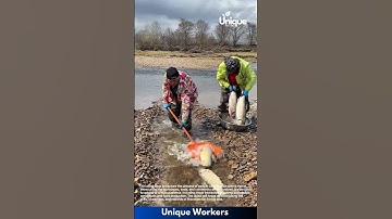 Catching for beginners: a simple guide to fish catching