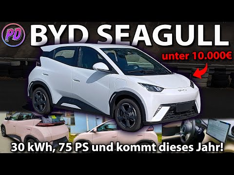 BYD SEAGULL - E-Kleinwagen für unter 10.000€