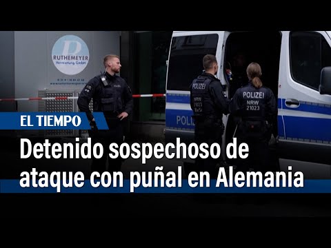 Detenido el sospechoso