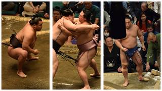 Hoshoryu joins tour; Enho marries; Wakatakakage moots November comeback (Sumo News, Oct 12th)