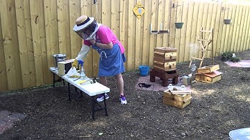 Video 2 of 3: Loading Bees into a new Warre Hive for the first time.