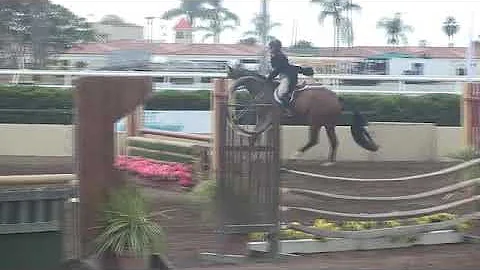 Video of Frascati ridden by Amy Brubaker from Show...