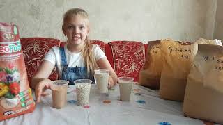 3. Виды цеолита. 3. Виды цеолита.
