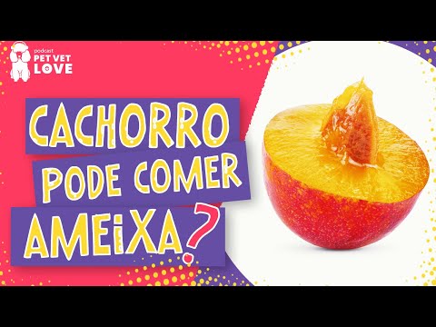 Vídeo: Os cães podem comer ameixas?