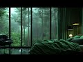1 Hour of Rain Falling on Trees for Relaxation