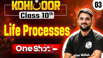 JKBOSE Class 10th Science | LIFE PROCESSES | Full Chapter | Kohinoor Batch