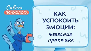 Как Успокоить Эмоции: Телесная Практика| Советы Психологов