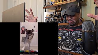 Try Not To Laugh Challenge 72 - By Adiktheone - Reaction