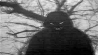 Download lagu NF - The Search (slowed reverb)