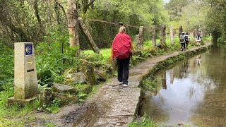 Day 8 | Camino Portuguese | Tui to O Porriño | March 25, 2024