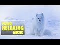 Piano relaxing music 2018  winter background relaxing music peaceful music calming music 08