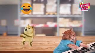 مهرجان الكلاب ريميكس النسخة الجديدة   2021 Cat Vibing dog Remix