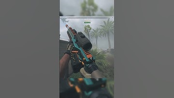 My Enemy Weapons Collection #24 | DMZ - Call of Duty | #dmz #Cod #shorts