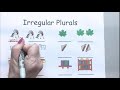 Irregular Plurals Quiz