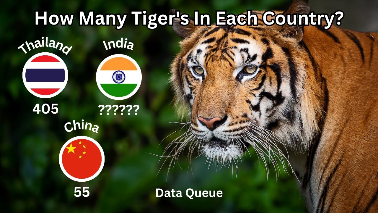 Tigers Around the World: Country-Wise Tiger Population Analysis