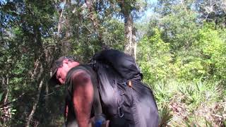 Backpacking the Florida National scenic trail Richloam to Green swamp west