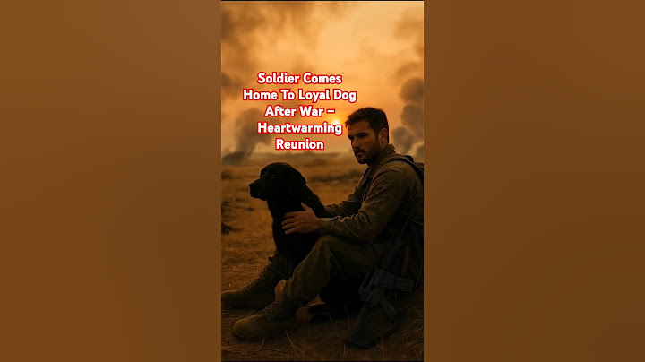 Soldier Comes Home To Loyal Dog After War – Heartwarming Reunion #heartwarminganimals #animals