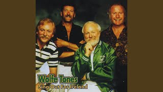 Watch Wolfe Tones Janey Mac Im Nearly Forty video