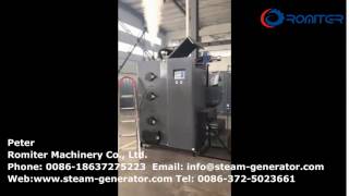 Wood Pellet Fired Steam Generator Testing for Ireland Customer