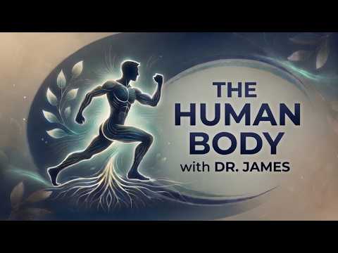 Lecture 8 - Nervous System I