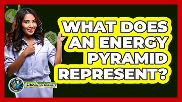 What Does An Energy Pyramid Represent?