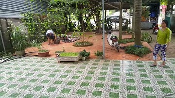 Căn nhà xưa 46B Quốc lộ 14 Tâm Thắng Cư Jut Đắk Nông (15-11-2017)