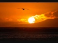 Miniature de la vidéo de la chanson Garden Of Eternal Spring - Solar Plexus