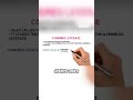 Combined Leverage - Meaning &amp; Formula | Leverage | Dr.Shuchi #leverage #financialmanagement