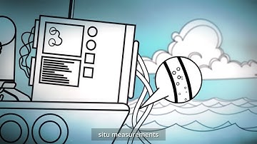 IBAIA Horizon EU project - explainer video