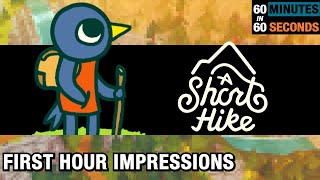 Is A Short Hike worth playing for more than one hour? - 60 in 60