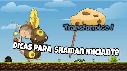 Como se tornar um shaman no transformice?