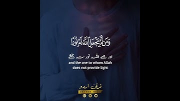 ✨ومن لم يجعل الله له نورا فما له من نور✨ سورة النور:٤٠|رعد الكردي|Surah An Noor:40|Raad al Kurdy