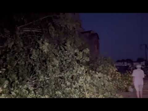 Μπουρίνι στις Σέρρες: Ξεριζώθηκαν δέντρα, ζημιές σε οχήματα