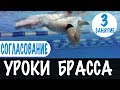 КЛЮЧ К УСПЕХУ В БРАССЕ. СОГЛАСОВАНИЕ РУК И НОГ. УРОКИ БРАССА. УРОК 3 @Swimmate.ru