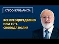 Все предопределено или есть свобода воли?